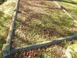 image of grave number 228112